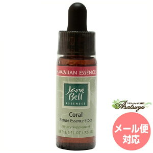 R[ WF[xnCAGbZX VOGbZX t[GbZX