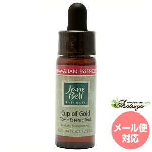 JbvIuS[h WF[xnCAGbZX VOGbZX t[GbZX