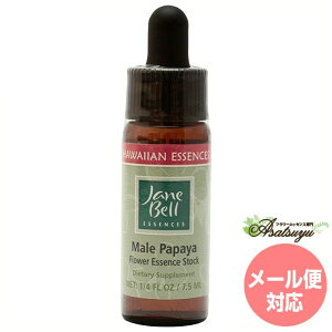 CppC WF[xnCAGbZX VOGbZX t[GbZX