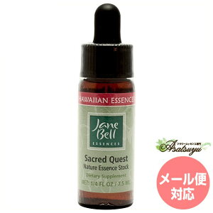 �Z�C�N���b�h�N�G�X�g �W�F�[���x���n���C�A���G�b�Z���X �V���O���G�b�Z���X �t�����[�G�b�Z���X