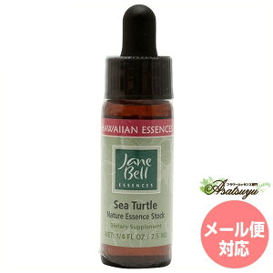 V[^[g WF[xnCAGbZX VOGbZX t[GbZX