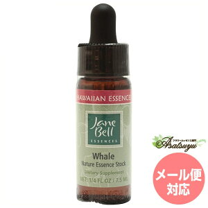 zG[ WF[xnCAGbZX VOGbZX t[GbZX