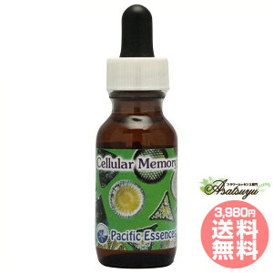 Z[[ pVtBbNGbZX ViW[tH[~ t[GbZX