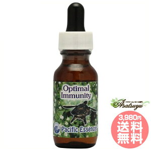 IveB}C~jeB t[GbZX pVtBbNGbZX N TCLbNA^bN veNV ی