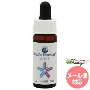 IjLX ڗ pVtBbNGbZX WFGbZX t[GbZX