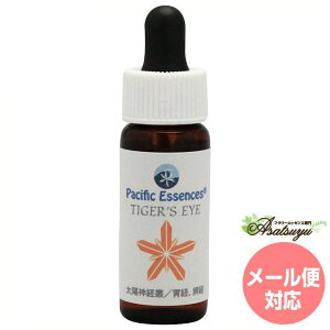 ^CK[AC Ֆڐ pVtBbNGbZX WFGbZX t[GbZX