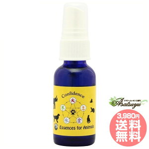 RtBfXXv[ pVtBbNGbZX Aj}V[Y t[GbZX