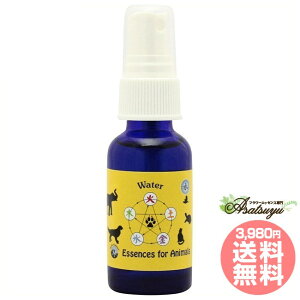  Water Xv[ pVtBbNGbZX Aj}V[Y t[GbZX