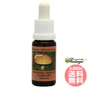 Xbp[WbN RePHIGbZX }bV[ ̂ GbZX t[GbZX