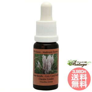 OCR[t@KX RePHIGbZX }bV[ ̂ GbZX t[GbZX