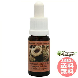 z[IuveB RePHIGbZX }bV[ ̂ GbZX t[GbZX