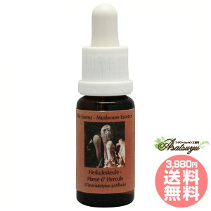 NoAft@X RePHIGbZX }bV[ ̂ GbZX t[GbZX