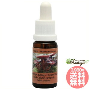 NX^[h]EVN RePHIGbZX }bV[ ̂ GbZX t[GbZX