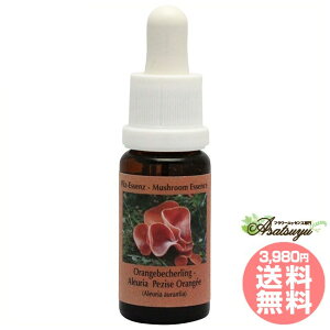 AEA RePHIGbZX }bV[ ̂ GbZX t[GbZX