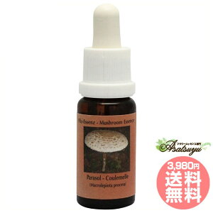 p\ RePHIGbZX }bV[ ̂ GbZX t[GbZX Ci[`Ch