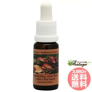 xxbgVN RePHIGbZX }bV[ ̂ GbZX t[GbZX q