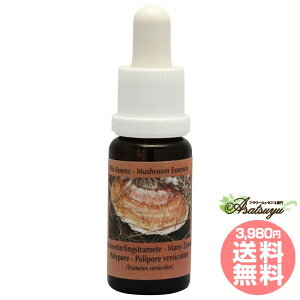 j[][h||A RePHIGbZX }bV[ ̂ GbZX t[GbZX