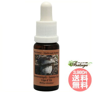 T}[Zbv RePHIGbZX }bV[ ̂ GbZX t[GbZX OEfBO