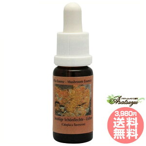 CP RePHIGbZX }bV[ ̂ GbZX t[GbZX