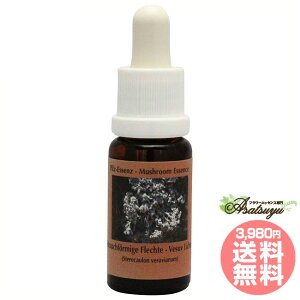 FY[tCP RePHIGbZX }bV[ ̂ GbZX t[GbZX