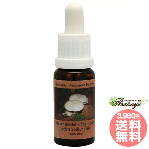 sXe RePHIGbZX }bV[ ̂ GbZX t[GbZX