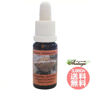 o[`||A RePHIGbZX }bV[ ̂ GbZX t[GbZX