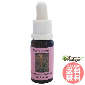 IoP RePHIGbZX }bV[ ̂ GbZX t[GbZX