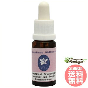 �X�i�b�v�h���S�� �R���ePHI�G�b�Z���X ���C���h�t�����[�G�b�Z���X �t�����[�G�b�Z���X