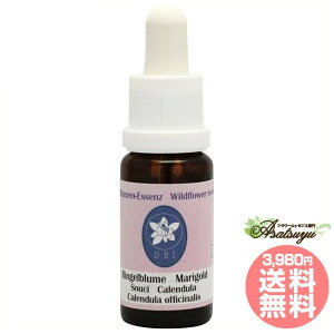 |bg}[S[h RePHIGbZX Cht[GbZX t[GbZX