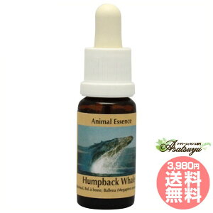 nvobNzG[ UgENW RePHIGbZX Aj}GbZX4 t[GbZX