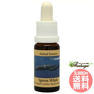 Xp[zG[ }bRENW RePHIGbZX Aj}GbZX4 t[GbZX