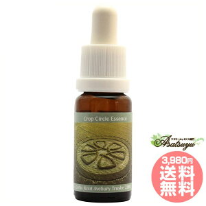 61 Celtic Knot, Avebury Trusbe, UK 2002 RePHIGbZX NbvT[NGbZX t[GbZX