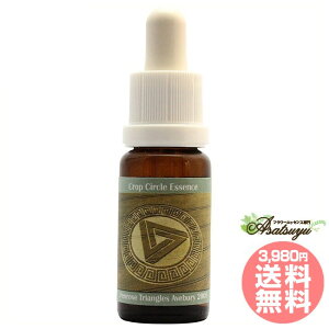 82 Penrose Triangles, Avebury, UK 2005 �R���ePHI�G�b�Z���X �N���b�v�T�[�N���G�b�Z���X �t�����[�G�b�Z���X