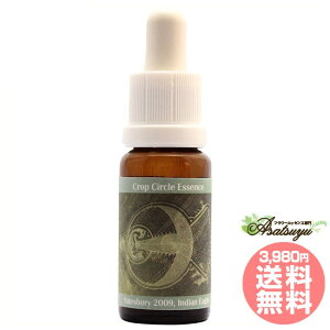 110 Indian Eagle, Yatesbury, UK 2009 �R���ePHI�G�b�Z���X �N���b�v�T�[�N���G�b�Z���X �t�����[�G�b�Z���X