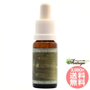 119 Swallow, Alton Priors, UK 2009 RePHIGbZX NbvT[NGbZX t[GbZX