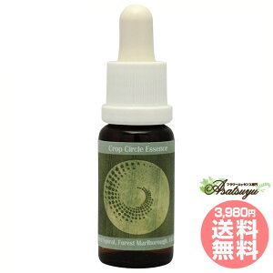 161 Pointed Spiral, Forest Marlborough, UK 2014 RePHIGbZX NbvT[NGbZX t[GbZX