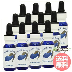 スピリチュアルな成長と目覚めの 全12本 Angelic Spiritual Growth & Awakening Kit アンジェリックエッセンス スピリチュアルな成長と目覚めの フラワーエッセンス
