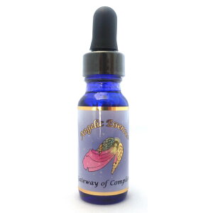 73 QCgEFCEIuERv[V CfBS QCgEFC#5 Gateway of Completion Indigo #5 AWFbNGbZX AWFbNeƎq̂߂ t[GbZX