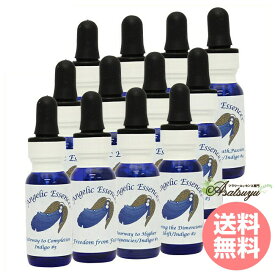 楽天市場 Angelic Angel フルの通販