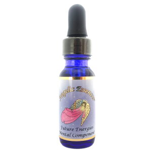 131 UE^ER|[lg The Mental Component AWFbNGbZX t[`[GiW[Y Cg[J[T|[g t[GbZX