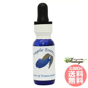 102 zn[g The Heart of Transcendence AWFbNGbZX ׂẴn[g-͂肵Ȃقǂ̈ t[GbZX