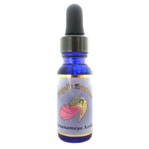 213 BWii} R[V Vijinanamaya Kosha AWFbNGbZX R[V t[GbZX