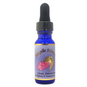 226 NA[CeV mȈӐ} Clear Intentions AWFbNGbZX GNvXGbZX RY~bNNGCV t[GbZX