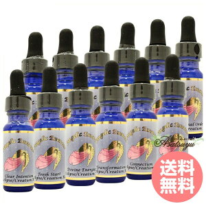 �G�N���v�X�G�b�Z���X �R�Y�~�b�N�N���G�C�V���� �S12�{ The Eclipse Essences Cosmic Creation Kit �t�����[�G�b�Z���X