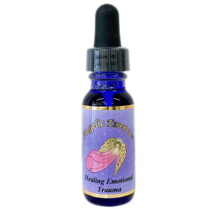 90 �q�[�����O�E�G���[�V���i���E�g���E�} Healing Emotional Trauma �A���W�F���b�N�G�b�Z���X �A���W�F���b�N�G�b�Z���X�P�i �t�����[�G�b�Z���X