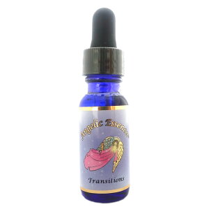 198 gWV Transitions AWFbNGbZX AWFbNGbZXPi t[GbZX