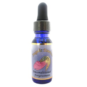 202 ARfBViEtH[MulX Unconditional Forgiveness AWFbNGbZX AWFbNGbZXPi t[GbZX