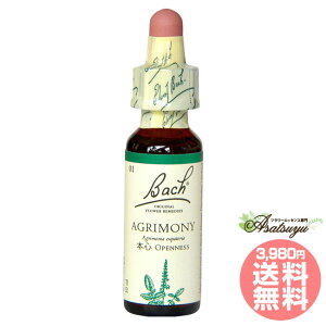 AOj[ ob`t[fB lԊ֌W k OZ XL[ mAR[ t[GbZX