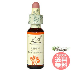 AXy ob`t[fB s OZ XL[ mAR[ t[GbZX