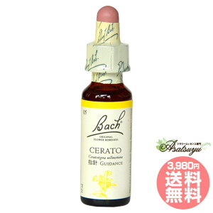 Zg[ ob`t[fB M ˗S OZ XL[ mAR[ t[GbZX